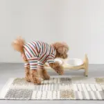 ダブルフードボールスタンド