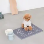 ロースタンドフードボウル