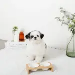 ウッドスタンドミニフードボウル