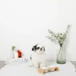 ウッドスタンドミニフードボウル