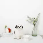 ダイアカットハイスタンドボウル