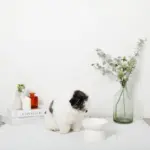 ダイアカットハイスタンドボウル