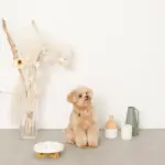 早食い防止ペットフードボウル