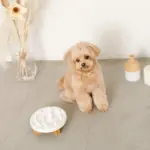 早食い防止ペットフードボウル