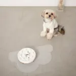 早食い防止ペットフードボウル