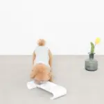 カーブダブルフードボウル