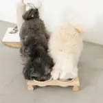 ウッドスタンドダブルフードボウル