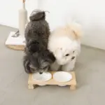 ウッドスタンドダブルフードボウル