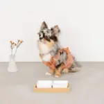 スクエアダブルフードボウル