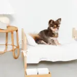 スクエアダブルフードボウル