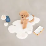 スクエアダブルフードボウル