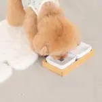 スクエアダブルフードボウル