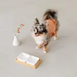 スクエアダブルフードボウル