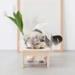 フードボウルスタンド(ウッド×ステンレス)