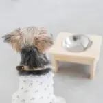 フードボウルスタンド(ウッド×ステンレス)