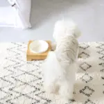 バンブーフードボウルスタンド MEDIUM