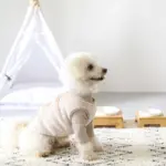 バンブーフードボウルスタンド MEDIUM