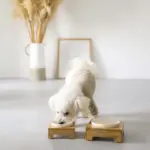 バンブーフードボウルスタンド SMALL